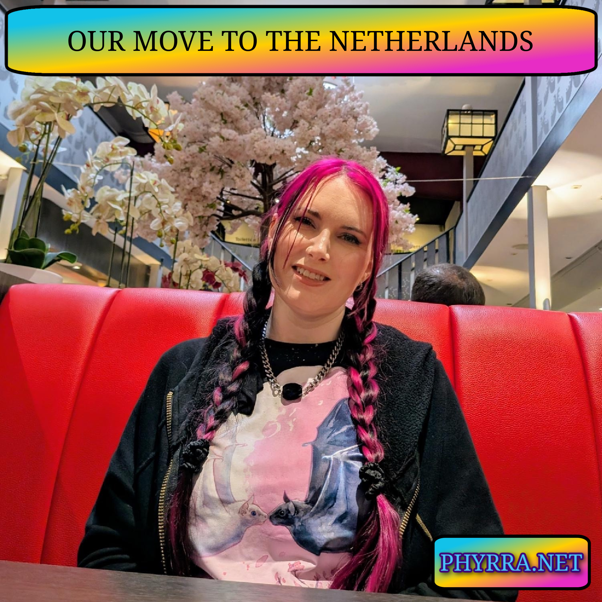 Our Transfer to the Netherlands