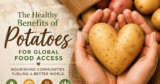 What Wholesome Advantages Of Potatoes Make Them Superb For International Meals Entry?